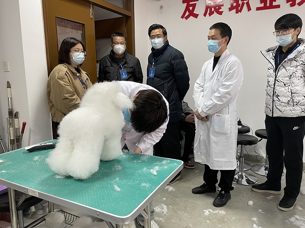 1640331564920316.jpg 2.jpg