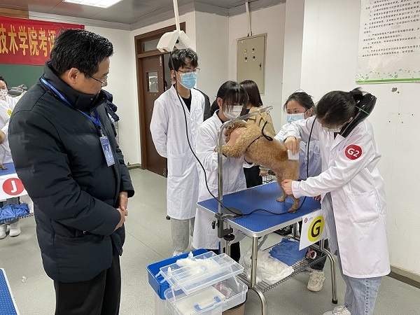 1640331596330094.jpg 4.jpg